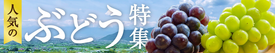 勝沼ぶどうの丘推奨 白ワイン（辛口）1本（KBO）B-652【ワイン 白ワイン 甲州市 山梨県】