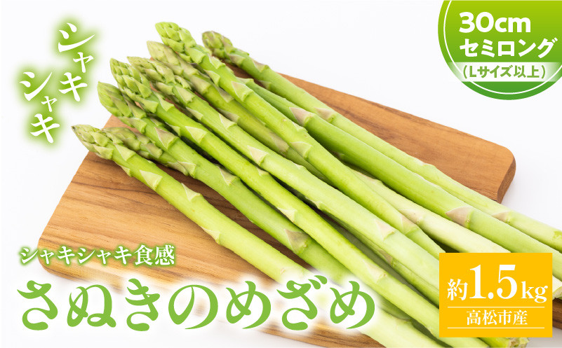 シャキシャキ食感 さぬきのめざめ セミロング 30cm ( Lサイズ 以上 ) 約1.5kg【2026-7月上旬~2026-10月中旬配送】