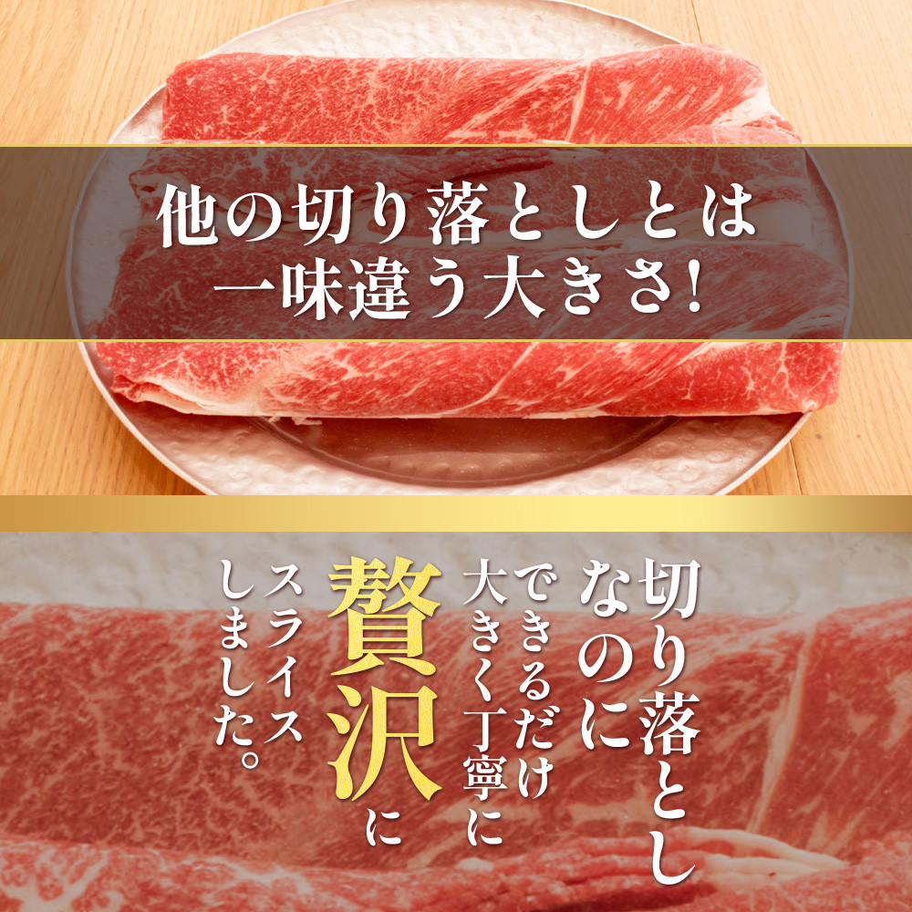 くまもと あか牛 切り落とし 500g 熊本県 ブランド牛 肉 ヘルシー 赤身 牛肉 あかうし 赤牛 スライス きりおとし カレー すき焼き 肉じゃが 105-0501