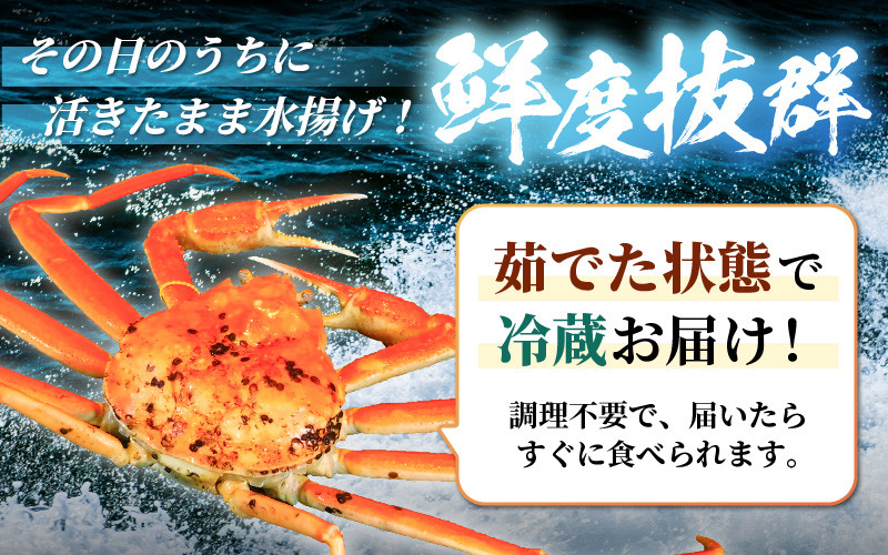 【先行予約】【訳あり】 茹で「越前ズワイ蟹」 中 1杯 脚折れ 【2026年3月発送分】【わけあり ワケアリ カニ かに 蟹 越前ガニ 越前蟹 ずわいがに ズワイガニ ズワイ ボイルガニ 姿 ボイル 冬の味覚 冷蔵 国産 県産】 [G-1402_03]