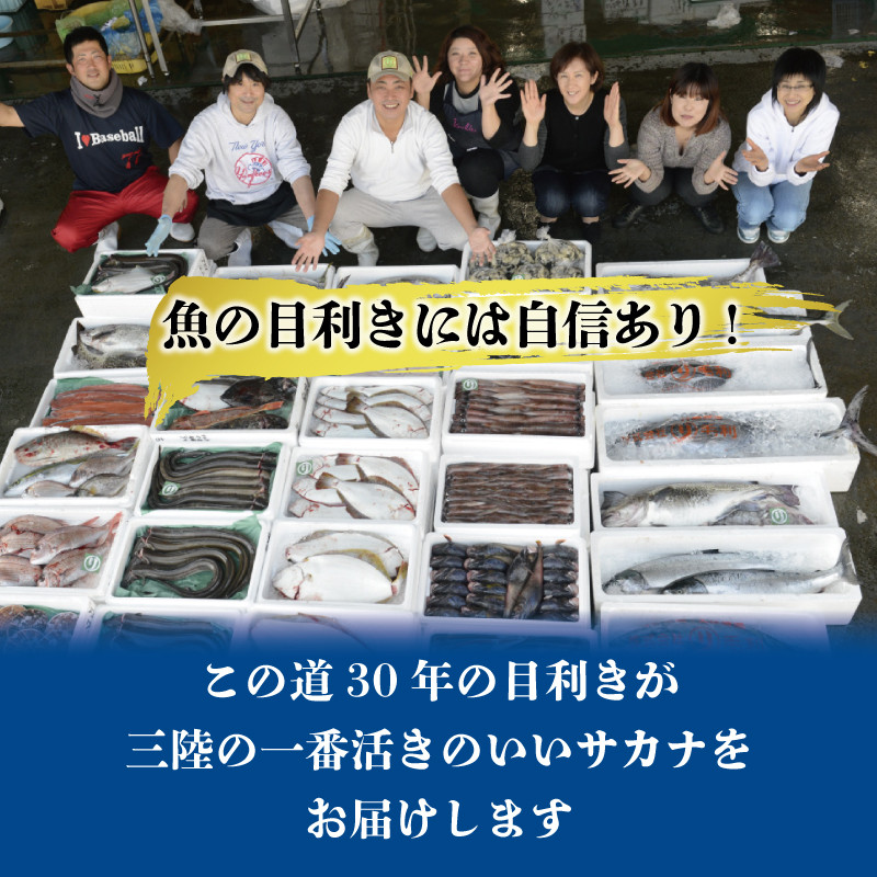 鮮魚 旬 獲れたて セット [6～9匹] 鮮魚便 海鮮 魚貝類 魚介類 鮮魚 旬 獲れたて セット 詰め合わせ さかな おさかな 魚 海の幸 福袋 FISH ごはん 夕飯 おかず 今が旬 刺身 刺し身 おつまみ 晩酌 米 丼 三陸産 岩手県 大船渡市