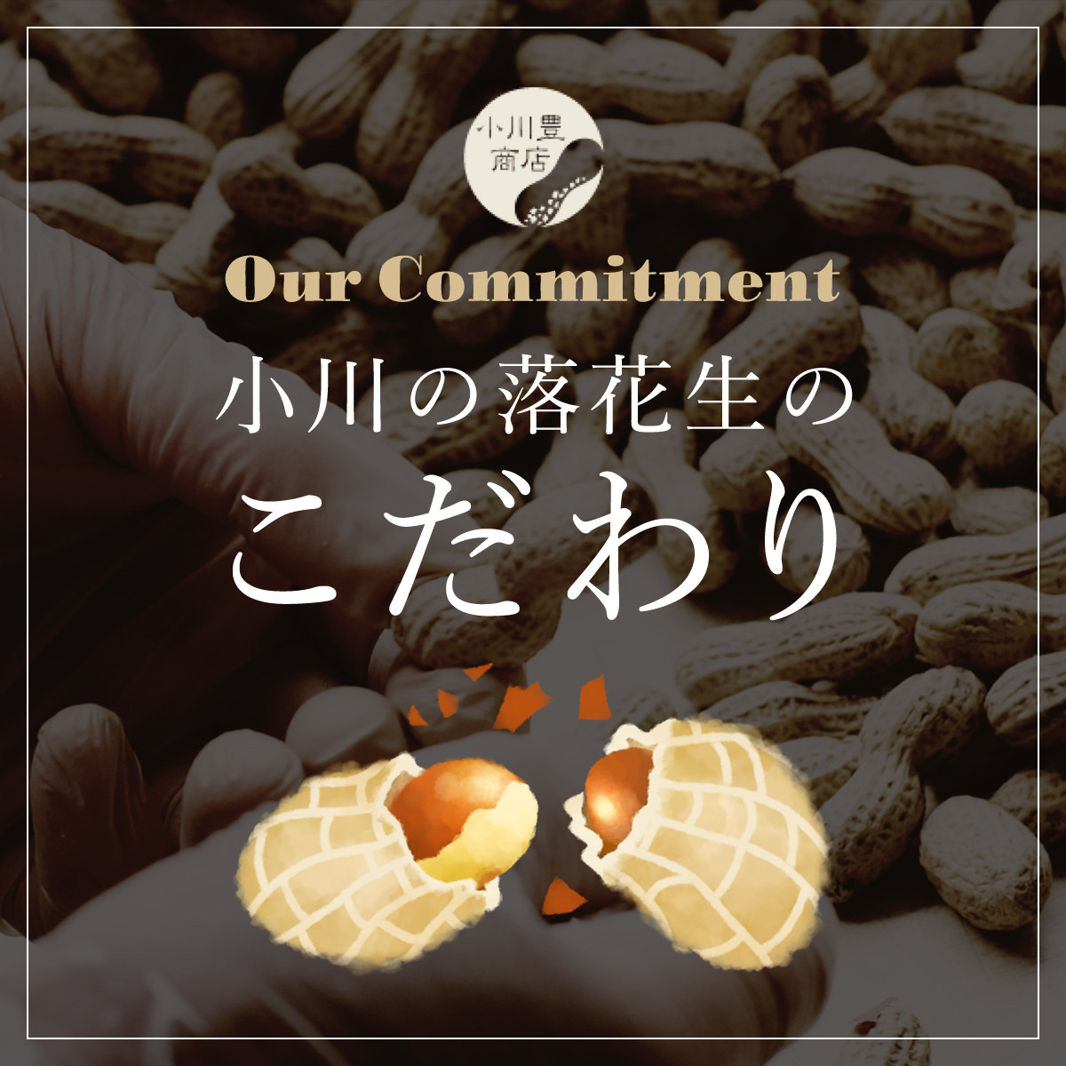 千葉県産　天日干しいりざや落花生 大箱 ふるさと納税 落花生 ピーナッツ ナッツ 豆 千葉県 山武市 SME002