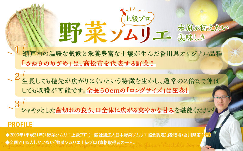 シャキシャキ食感 さぬきのめざめ セミロング 30cm ( Lサイズ 以上 ) 約1.5kg【2026-7月上旬~2026-10月中旬配送】