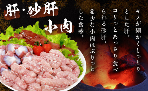 日南どり 焼肉 食べ比べ セット 合計3kg 鶏肉 国産 チキン 鶏もも肉 切身 肝 砂肝 小肉 人気 小分け 便利 おかず お弁当 おつまみ 食品 真空パック バーベキュー BBQ 唐揚げ お取り寄せ おすすめ ご褒美 記念日 お祝い おすそ分け 日南市 宮崎県 送料無料_CB86-24