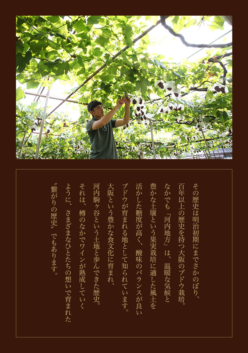 河内ワイン スペシャルセット 徳一メルロ シャルドネ KONTOKUYAマスカットベリーA シャルドネ KIEI Private 赤 白 各750ml×1本 計6本 株式会社河内ワイン《30日以内に出荷予定(土日祝除く)》大阪府 羽曳野市 ワイン 酒 アルコール 送料無料