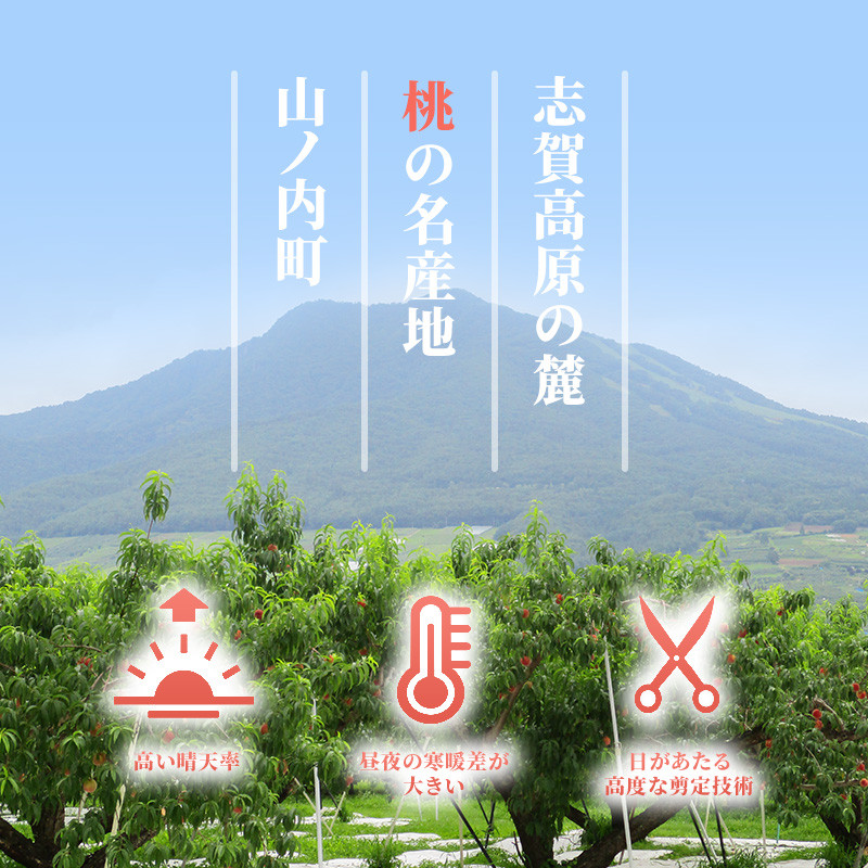 【2026年発送】志賀高原の麓で育った 桃(白鳳系)特秀10玉 約2.5kg 桃 もも 白鳳 フルーツ 果物 デザート 長野