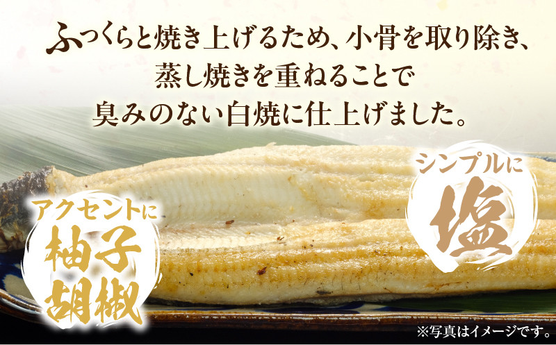 《2025年11月発送予定》うなぎ白焼(大サイズ)・肝焼きセット_M069-022-nov