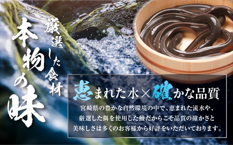 《2025年11月発送予定》うなぎ白焼(大サイズ)・肝焼きセット_M069-022-nov