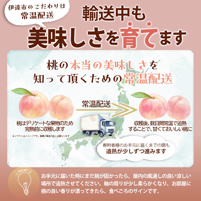 【2026年出荷分先行予約】福島県産 あかつき 約2kg (6～8玉) 森果樹園 自然豊かな月舘で育った桃 伊達の桃 桃 フルーツ 果物 もも モモ momo F21C-052