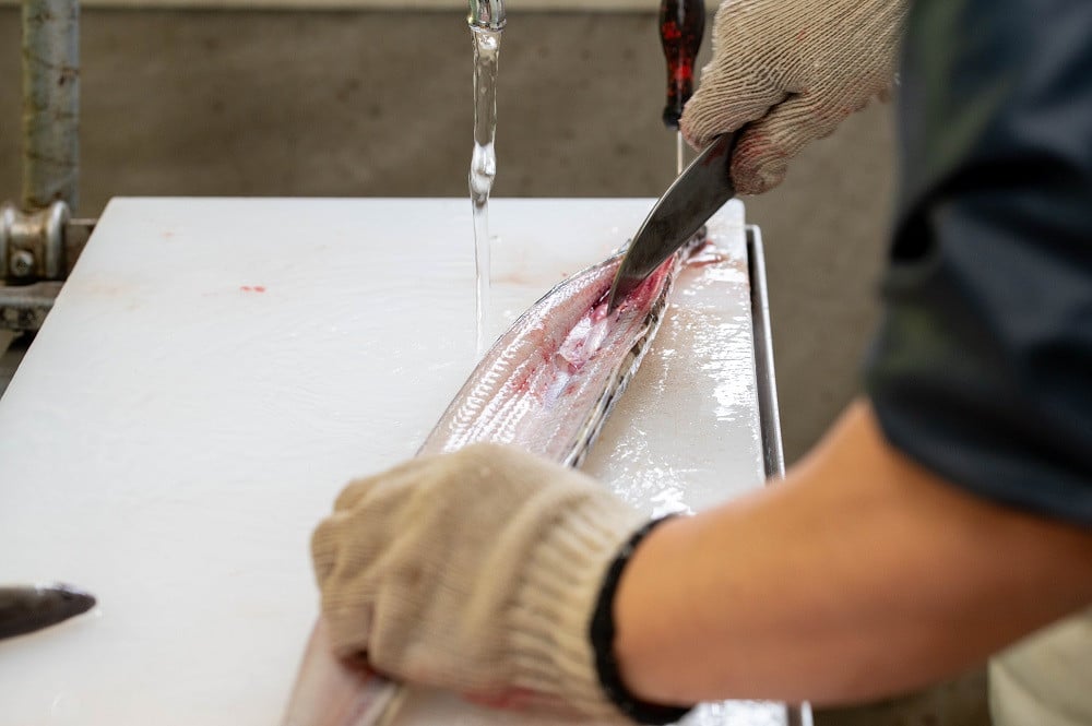 【令和7年お歳暮対応】厳選! 国産 鹿児島県産 うなぎ 白焼き 大 3尾 約480g 秘伝のタレ 付き 新仔うなぎ 使用 こだわりの地焼き! 国産 鹿児島県産 冷凍 うなぎ 鰻 ウナギ 白焼き ギフト にも!【南竹鰻加工】【SB-039H】