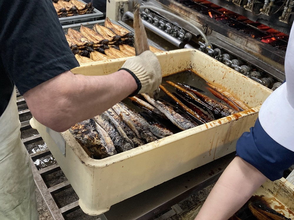 【令和7年お歳暮対応】厳選! 国産 鹿児島県産 うなぎ 白焼き 大 3尾 約480g 秘伝のタレ 付き 新仔うなぎ 使用 こだわりの地焼き! 国産 鹿児島県産 冷凍 うなぎ 鰻 ウナギ 白焼き ギフト にも!【南竹鰻加工】【SB-039H】