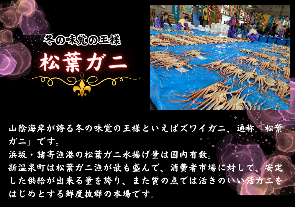 松葉ガニの本場・兵庫県新温泉町　訳あり・釜茹でセコガニ(冷凍)　小　5枚