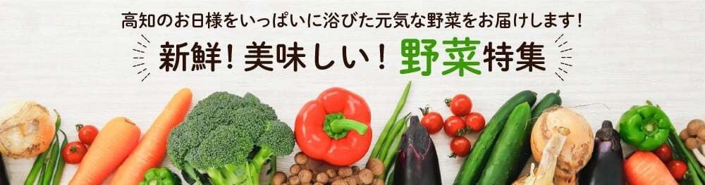 ハンバーグ 四万十ポーク 入り 3.6kg ( 200g × 18個 ) 冷凍 真空 小分け 個包装 肉汁 たっぷり 大容量 大きめ 合挽き 牛肉 豚肉 保存料 不使用 ビーフ ポーク 合いびき肉 挽肉 ジューシー お弁当 おかず 惣菜 晩ごはん 贅沢 ギフト 贈り物 贈答