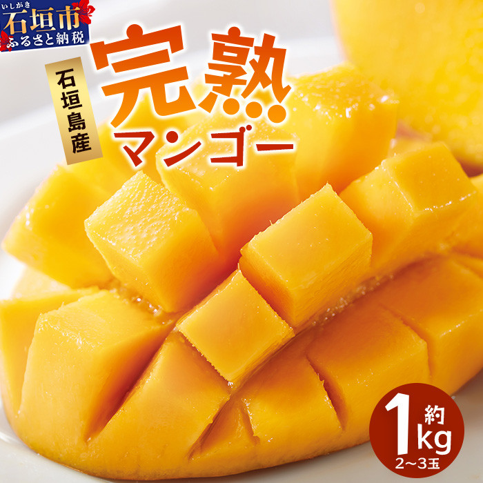 【先行予約】《2026年7月以降より順次発送》石垣島産 マンゴー (アーウィン種) 約1kg(2~3玉) 《樹齢30年の木で育ったマンゴー》【 産地直送 沖縄 石垣島 マンゴー アーウィン マンゴー フルーツ 】TP-1