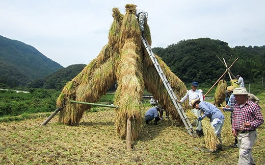 開春 生酛純米木桶仕込みセット(720ml×2本)【日本酒 2本 720ml 純米酒 開春 生酛 きもと 生もと純米 イ宛 寛文の雫 木桶 酵母無添加 低精米 木桶仕込み 新感覚 冷や 冷酒 燗 熱燗 お酒 酒 父の日 島根県 大田市】