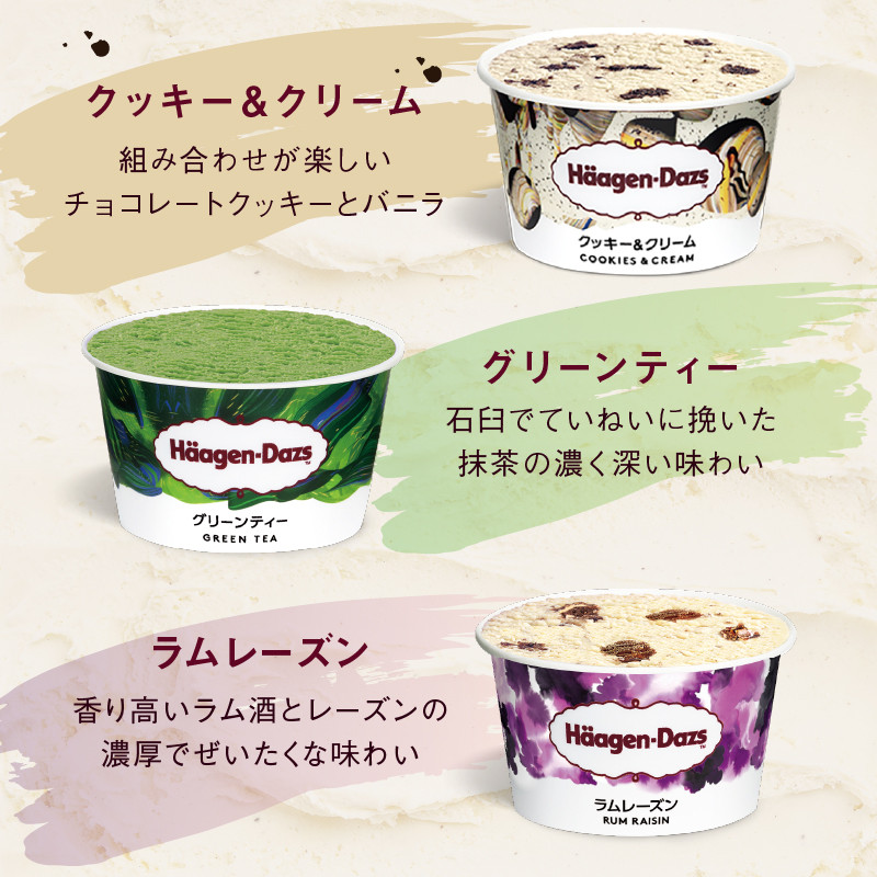 ＜全6回定期便・連続＞ハーゲンダッツ『アソートボックス3箱セット(合計18箱)』アイスクリーム アイス スイーツ デザート_H0026-036-n