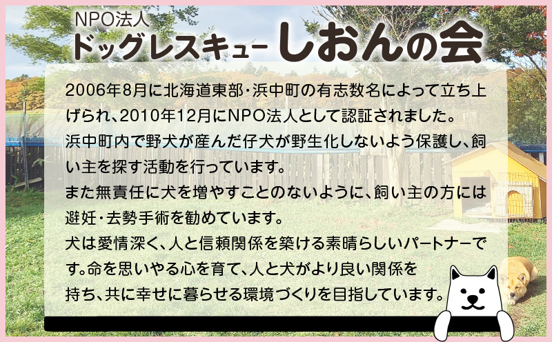 【野犬の保護活動】浜中町「ドッグレスキューしおんの会」を支援 10000円分 返礼品なし_H0039-006