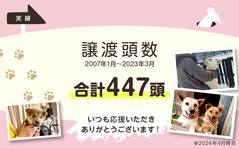 【野犬の保護活動】浜中町「ドッグレスキューしおんの会」を支援 4000円分 返礼品なし_H0039-004