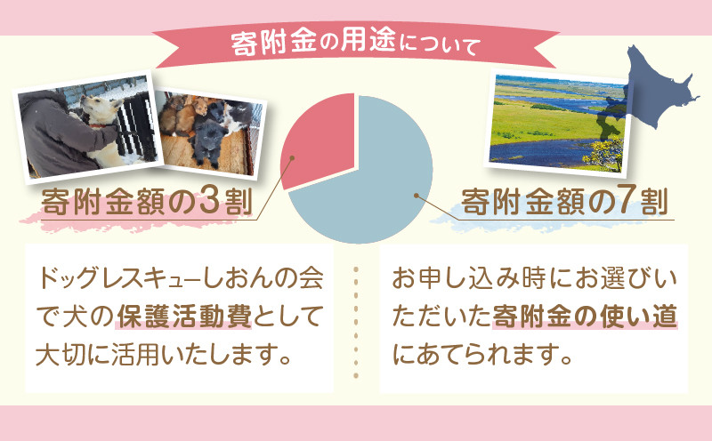 【野犬の保護活動】浜中町「ドッグレスキューしおんの会」を支援 10000円分 返礼品なし_H0039-006