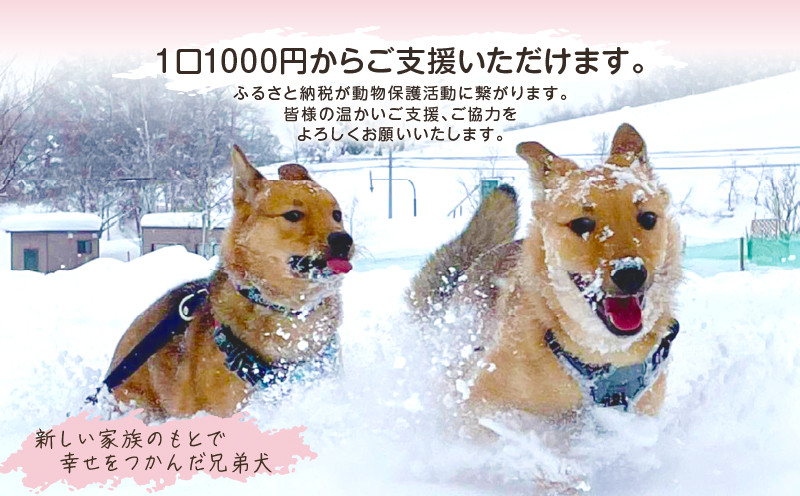 【野犬の保護活動】浜中町「ドッグレスキューしおんの会」を支援 30000円分 返礼品なし_H0039-007