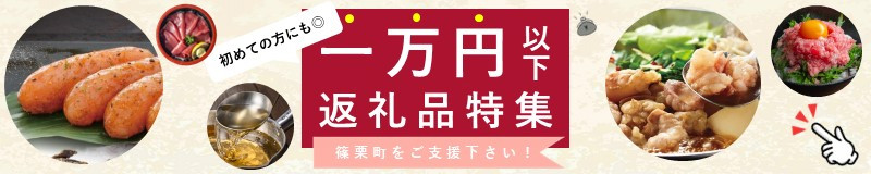 手作り特製たれ付きミックスホルモン 4人前  650g VY005