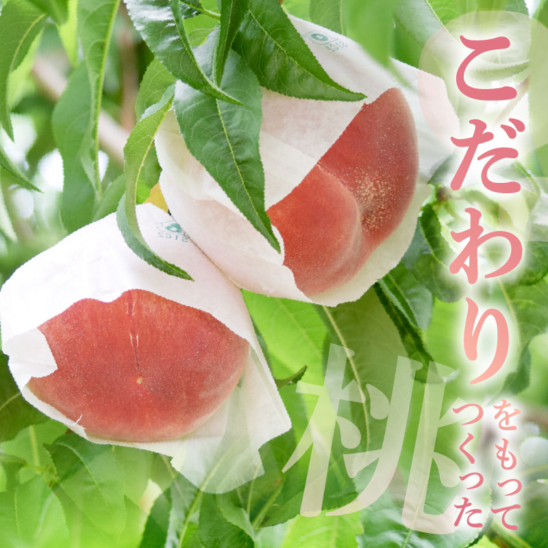 桃の一大産地『大藤の特秀品』！透過式光センサー選別化粧箱入り 約2kg【2026年発送】（MG）B12-474 【特秀品 桃 もも モモ 令和8年発送 期間限定 山梨県産 甲州市 フルーツ 果物】