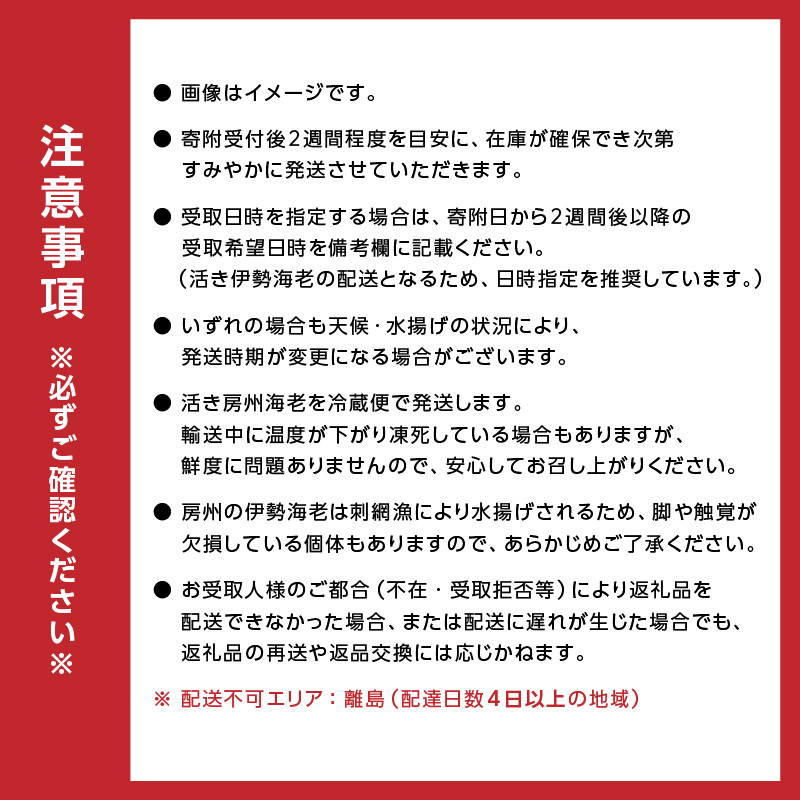 房州産天然伊勢えび 約2kg mi0014-0014