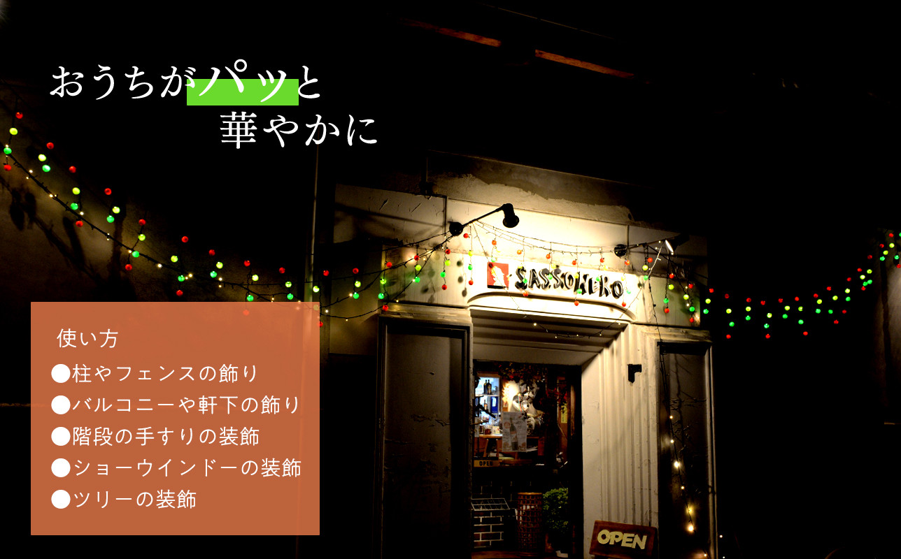 アップルイルミネーション (コントローラ付き・コード2m×1個) 【 LED 】 インテリア 雑貨 日用品 アップル ライト イルミネーション 照明 飾り 装飾 青森県 平川市