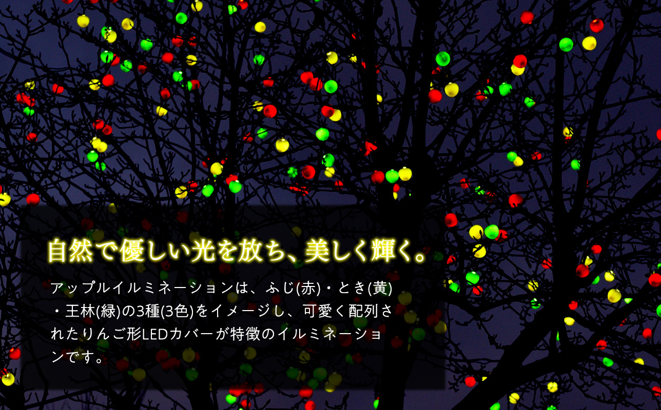 アップルイルミネーション （ コントローラ付き・コード2m×3個 ） 【 LED 】 インテリア 雑貨 日用品 アップル ライト イルミネーション 照明 飾り 装飾 青森県 平川市 