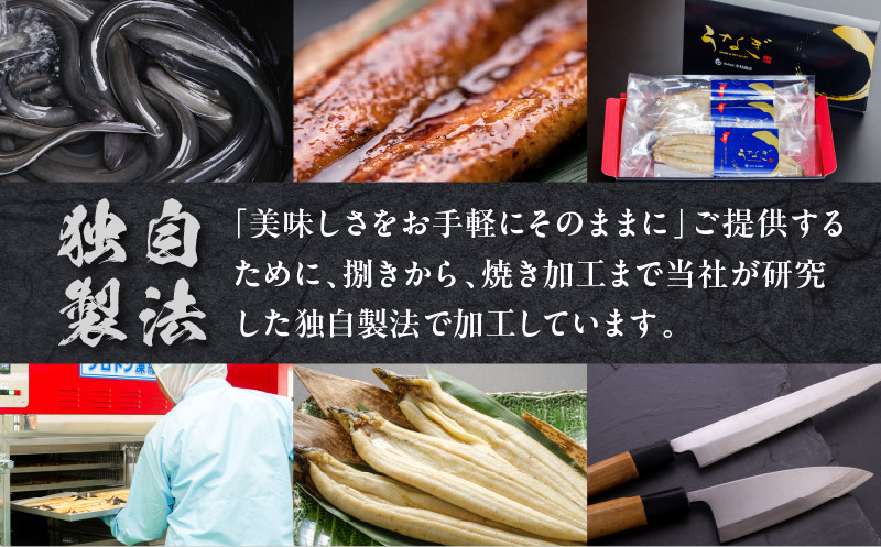 《2025年11月発送予定》国産うなぎ蒲焼(特大サイズ)・蒲焼きざみセット_M069-017_01-nov