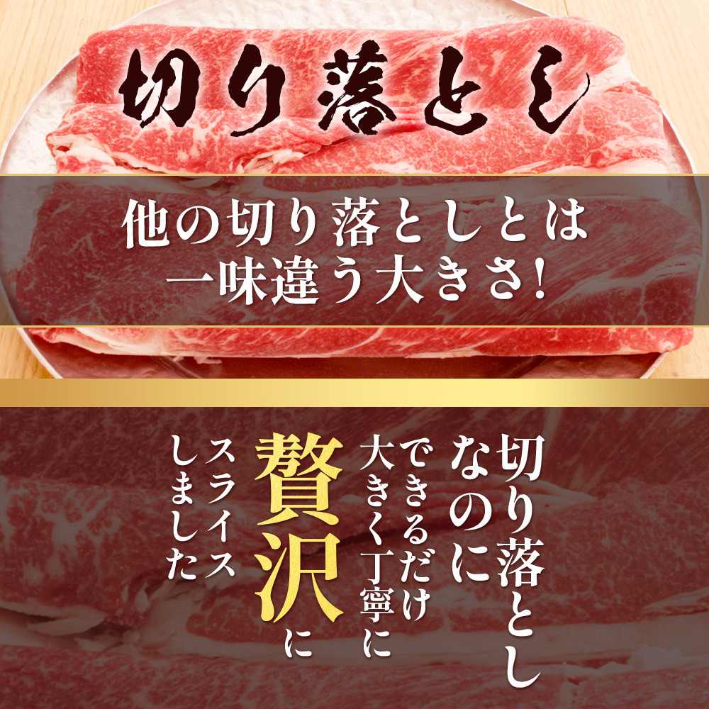 くまもとあか牛 詰合せBセット 《 切り落とし500g・すき焼きしゃぶしゃぶ用500g 》  計1kg  熊本県 ブランド牛 肉 ヘルシー 赤身 牛肉 105-0509