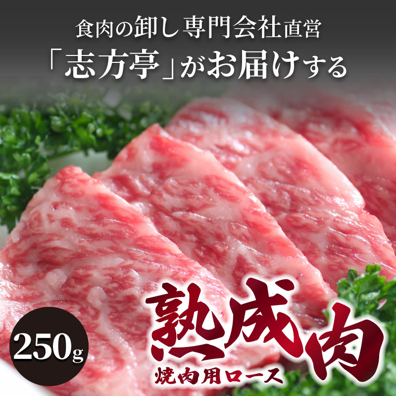 「熟成肉」焼肉(250g)《焼肉 熟成肉 ロース 牛肉 ロース 250g 牛 国産 和牛 おすすめ こだわり セット バーベキュー ブレンド塩 旨味 加古川市》【2402A00405】