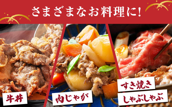 【佐賀牛を毎日の食卓に】佐賀牛 日常使いセット ＜ハンバーグ150g×6個・切り落とし500g＞【がばいフーズ】 [HCS072]