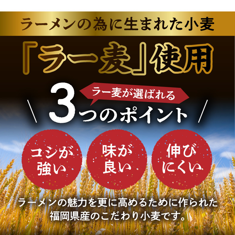 福岡県産ラー麦使用 本格 醤油ラーメン(生めん)15食セット PC5306