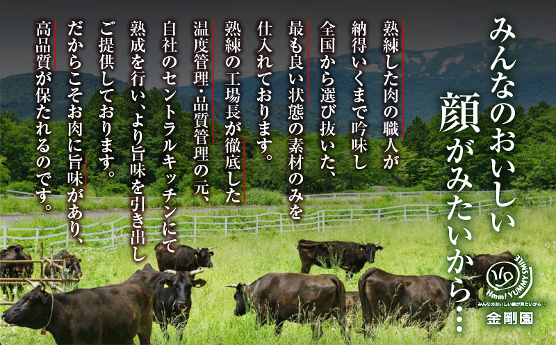 金剛園 焼肉セット T054-002