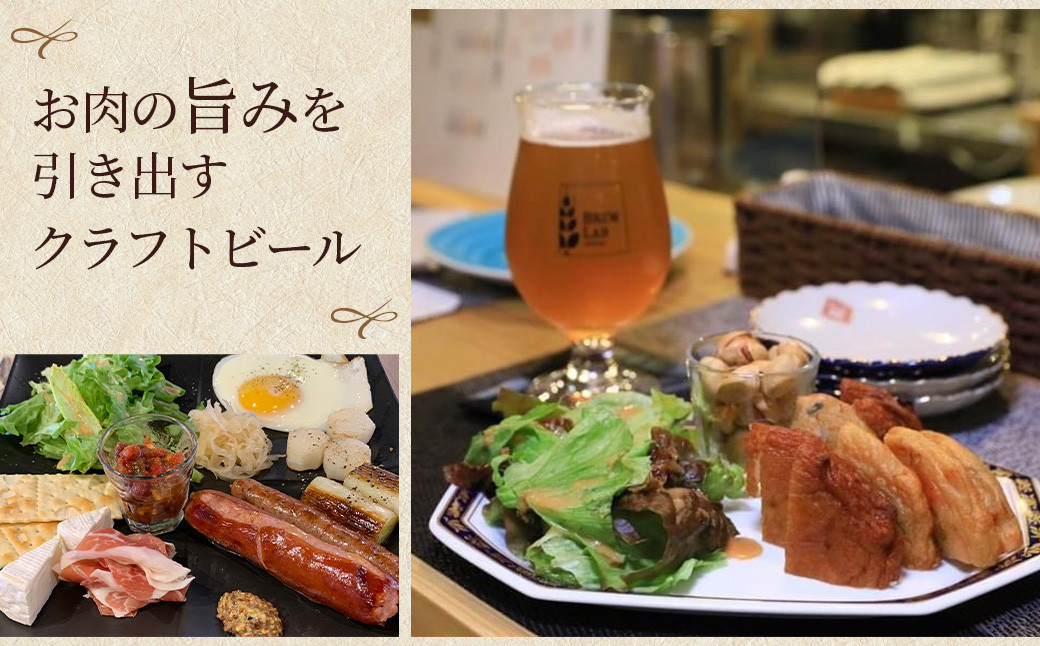 BREW LABクラフトビール3本セット ビール クラフトビール 地ビール ipa ペールエール ゴールデンエール 鳥取県 倉吉市 珍しい 美味しい ビール党 クラフトビア 手作り おすすめ 飲み比べ 詰め合わせ