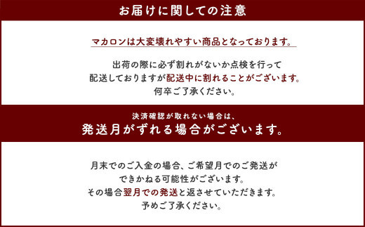 【2025年11月発送】 一流パティシエが認めるホテル使用品 お試し マカロン セット 12個（6種類×2個）冷凍 スイーツ デザート とろとろ 洋菓子 【選べる配送月】