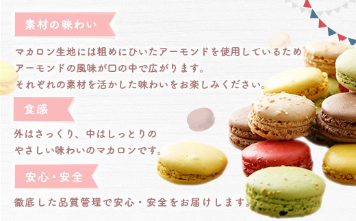 【2025年11月発送】 一流パティシエが認めるホテル使用品 お試し マカロン セット 12個（6種類×2個）冷凍 スイーツ デザート とろとろ 洋菓子 【選べる配送月】