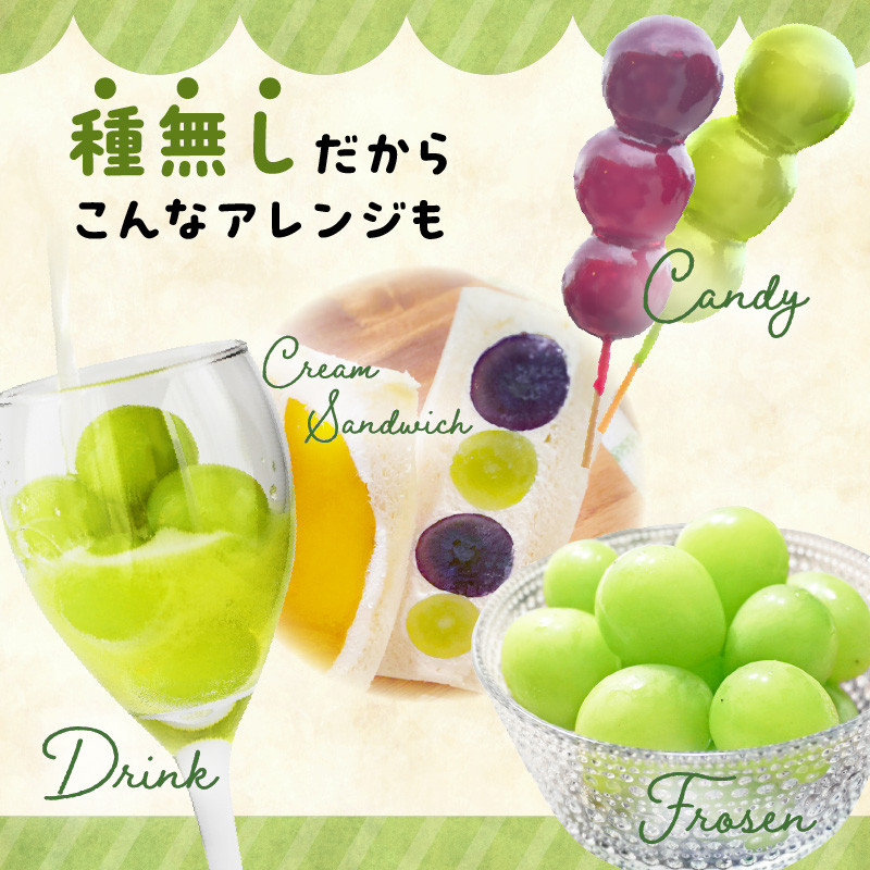 《先行受付》贈答規格シャインマスカット 約1.4kg（2～3房）【2026年9月中旬頃～順次発送予定】【山形ぶどう・大江町産・小林葡萄園】 【024-003】