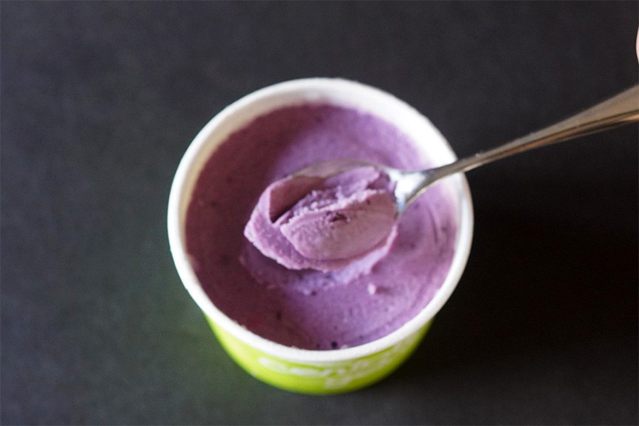 信濃町の旬野菜でつくるジェラート6種｜信濃町の人気店 野菜ジェラートチェントット【長野県 信州 信濃町ふるさと納税】