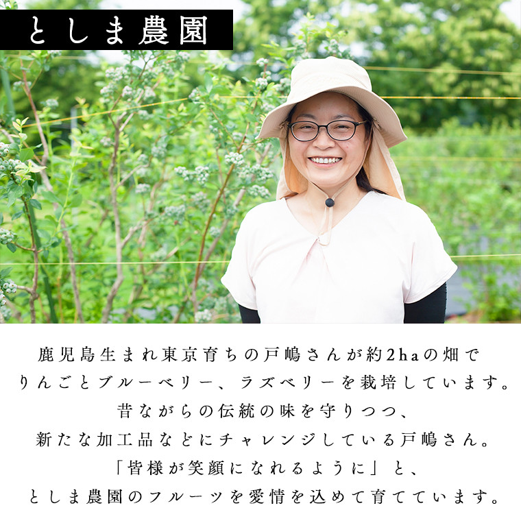 《 先行予約 》令和8年産 生ブルーベリー 良品 1.2kg（300g × 4パック）●2026年7月中旬発送【としま農園】 旬 県産ブルーベリー 小分け お中元 お歳暮 お取り寄せ 母の日 父の日 グルメ ギフト 故郷 秋田 あきた 鹿角市 鹿角 送料無料