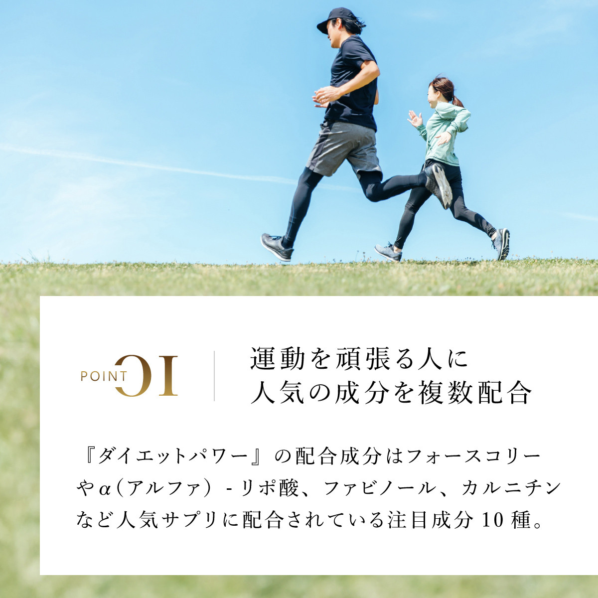 75907_DHCダイエットパワー 30日分 2個セット（60日分） ／美容 ダイエット サプリ サプリメント 食事 運動サポート フォースコリー α（アルファ）-リポ酸 ファビノール カルニチン アミノ酸 食物繊維 注目成分 10種 DHC ディーエイチシー 千葉県 茂原市 MBB002