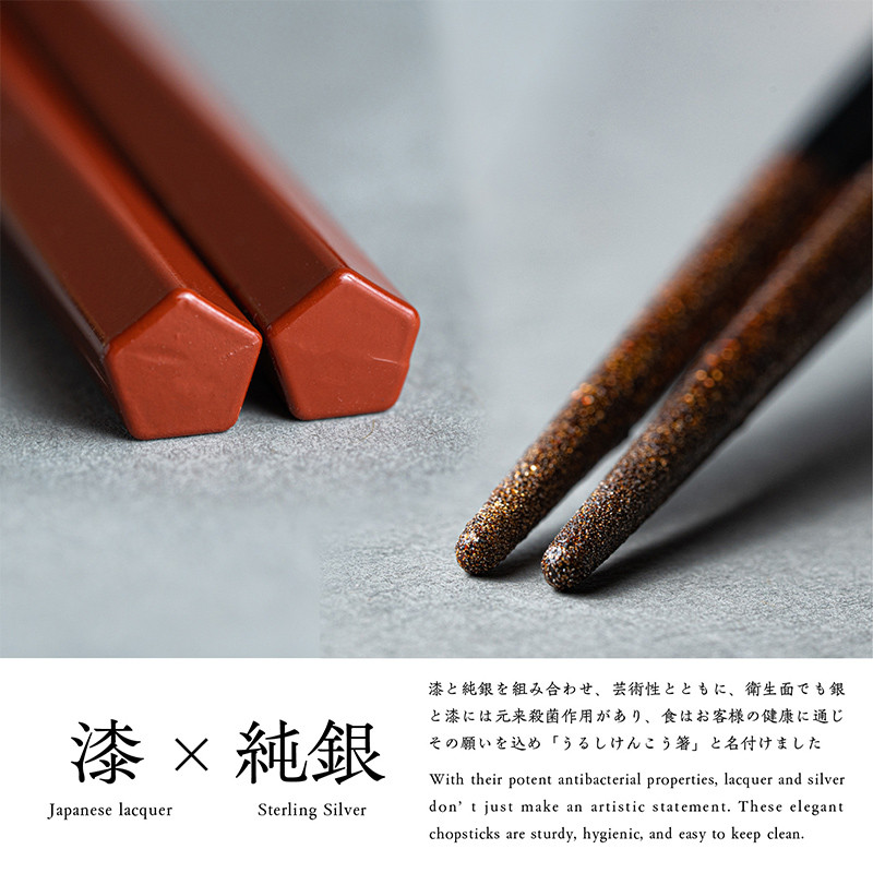 華正工房 うるしけんこう箸 食洗機対応 ペア (夫婦箸) 化粧箱入り F6P-2841