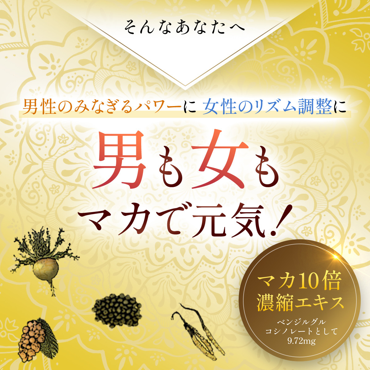 76746_DHC マカ 30日分 6個セット(180日分)/ 健康 サプリ サプリメント マカ パワー 生命力 活力 男性 女性 年齢 DHC ディーエイチシー 千葉県 茂原市 MBB076