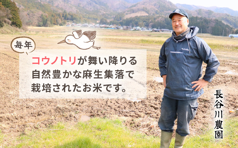 【令和7年産】定期便 ≪6ヶ月連続お届け≫長谷川農園の コシヒカリ 玄米 5kg × 6回 (計30kg) 【お米 こしひかり 5キロ 玄米 ブランド米 ふるさと納税米 産地直送】 [m22-f003]