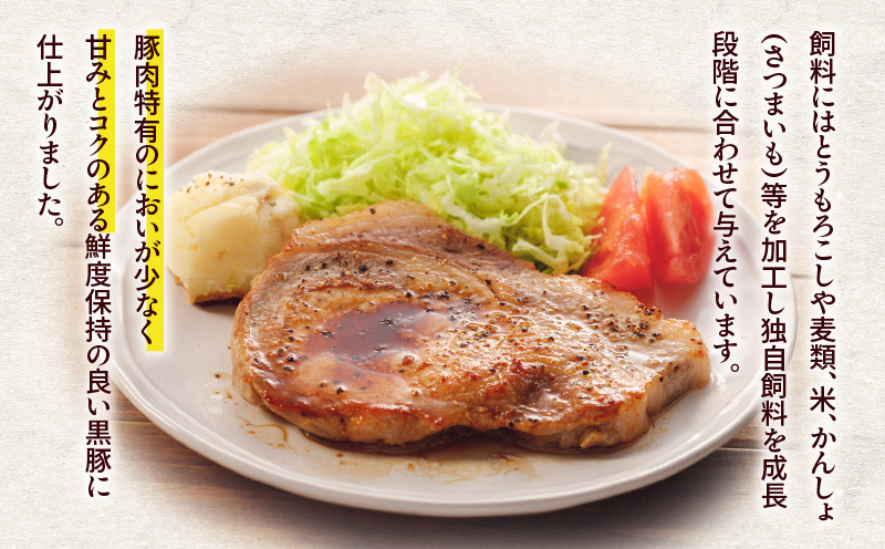 かごしま黒豚さつま 厚切りポークステーキ K287-002