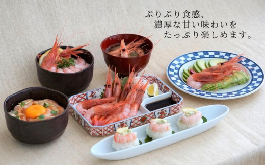 【香住の甘エビ 500g×3パック】 日本海で水揚げされた鮮度抜群の甘えびを船内で急速冷凍しました。短時間で急速冷凍 細胞を壊さず、食品の美味しさをキープ 産地直送 香美町 香住 山陰 国産 刺身 塩焼き 海鮮 28000円 04-03　
