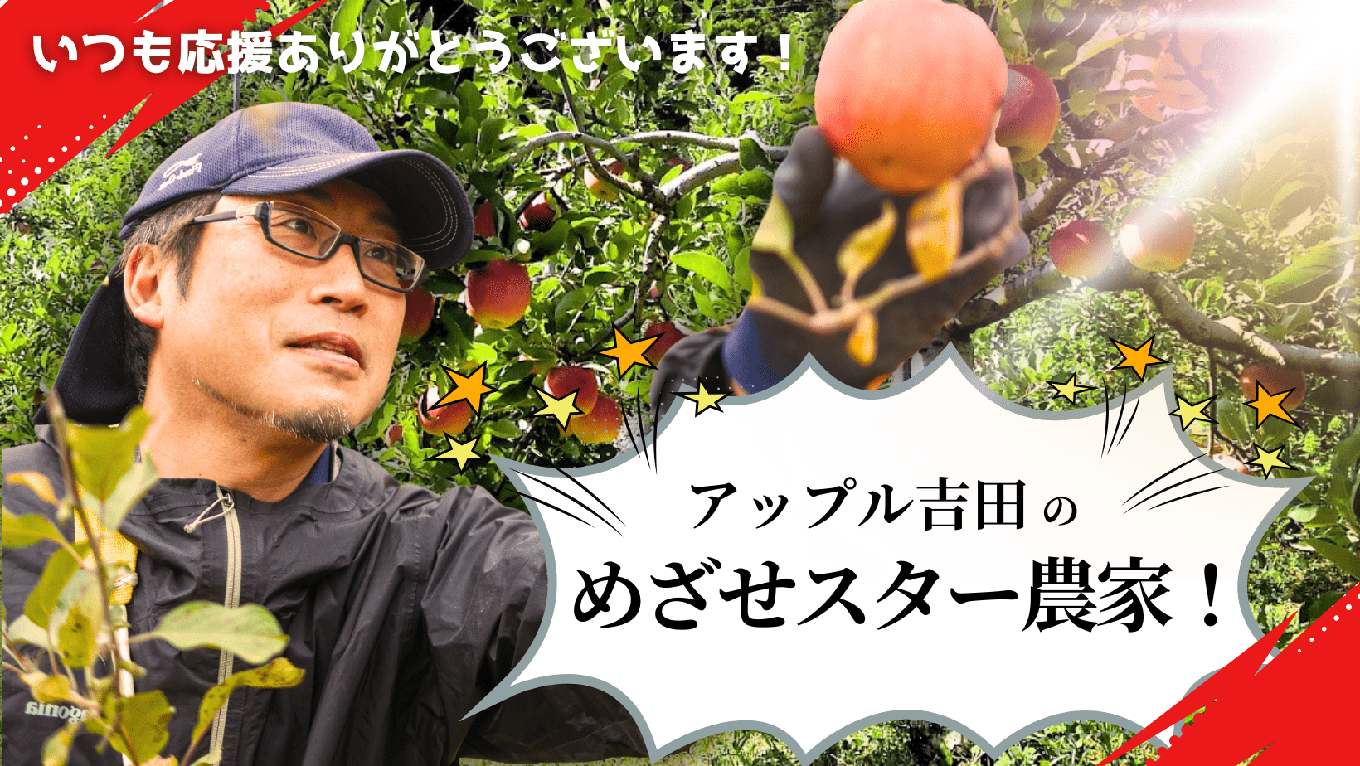 米崎りんご ぎゅっとセット 3kg 品種おまかせ 2種類以上お届け 【 リンゴ 旬 お届け 岩手 陸前高田 】 RT2058