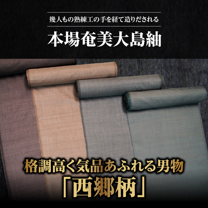 【男物 本場奄美大島紬】格調高く気品あふれる「西郷柄」 A060-005