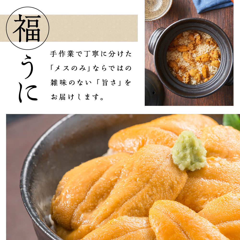 ★2026年8月発送★ 北海道 利尻島産 塩水生うに キタムラサキウニ 500g (100g×5パック)【福士水産】